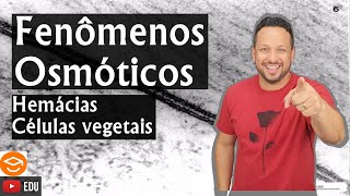 Fenômenos Osmóticos - Osmose - Transporte Passivo - Membrana Plasmática