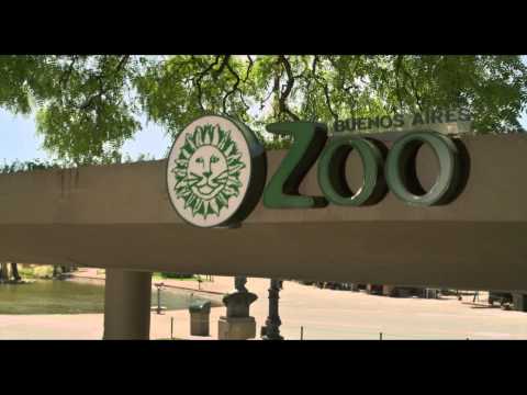 Locos Sueltos En El Zoo (2015) Trailer
