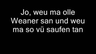 Wolfgang Ambros - Wem heut' net schlecht is (Lyrics)