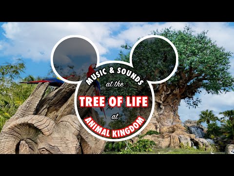 Disney's Animal Kingdom Tree of Life Theme Park Music Experience