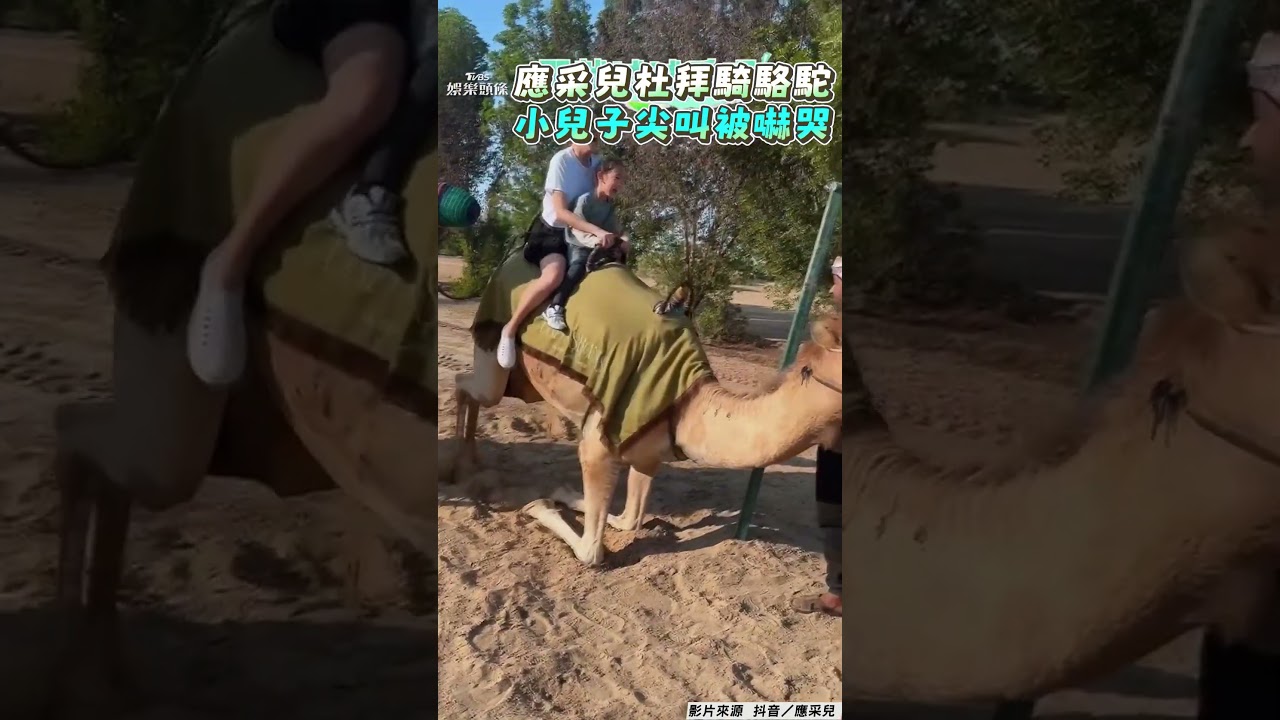 影音/應采兒小兒子騎駱駝尖叫「被嚇哭」 Jasper杜拜搞怪模仿陳小春練歌