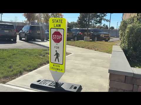 Pedestrian Fatality