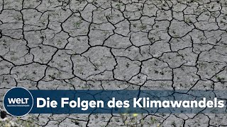 ERDERWÄRMUNG: Klimawandel - &quot;Die Warnsignale kann man nicht mehr verdrängen&quot; | WELT Interview