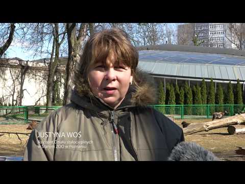 Mały Przewodnik Katolicki - kwiecień 2018