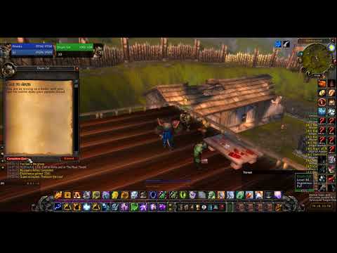 SHAMAN leveling 40+in tank spec WoW Classic - World of Warcraft