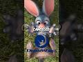 5 Times DreamWorks Movies Got Cancelled