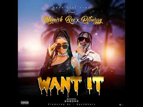 WANT IT memish bee ft pitwizzy