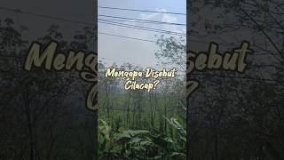 Download lagu Why is it called Cilacap? #cilacap #history mp3 Download lagu Why is it called Cilacap? #cilacap #history mp3