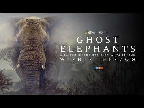 Bande-annonce Ghost Elephants – Réalisation Werner Herzog Blue Note Films