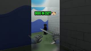 Okay, BEST update ever. 🥹🐕