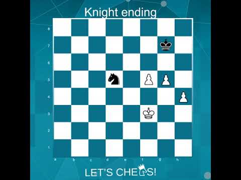 Knight Ending  Woochess