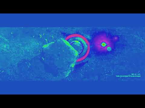 Neelix - Born & Raised (feat.  Jenita Spirtovic) [Official Audio]