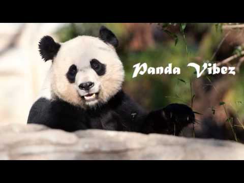 Bustre - One Last Time ft. Myth