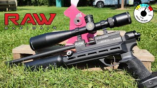 Testing one of the Most Accurate Airguns Ever! RAW TM1000