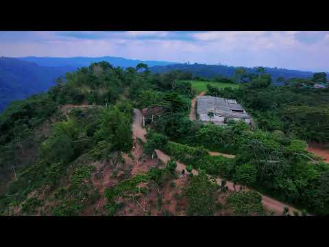 FINCA BELEN EL QUETZAL, SAN MARCOS.
