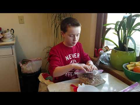 How to Make Spicy Birdseed