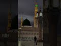 Teri Nasl E Paak Mein Hai Bachha Bachha Noor Ka Rabiulawwal Madina Shorts Viralshort