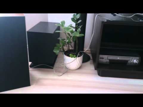 Sony HAP-S1, Bang & Olufsen Beovox 3702
