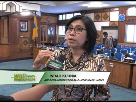 Terapi Kombinasi untuk potensi peningkatan Perempuan 100 persen patogen