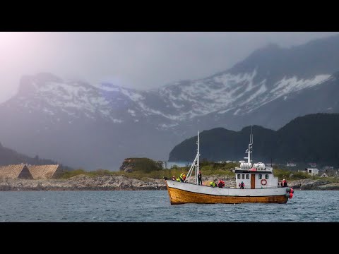 The Carlson Omega-3 Fish Oil Story