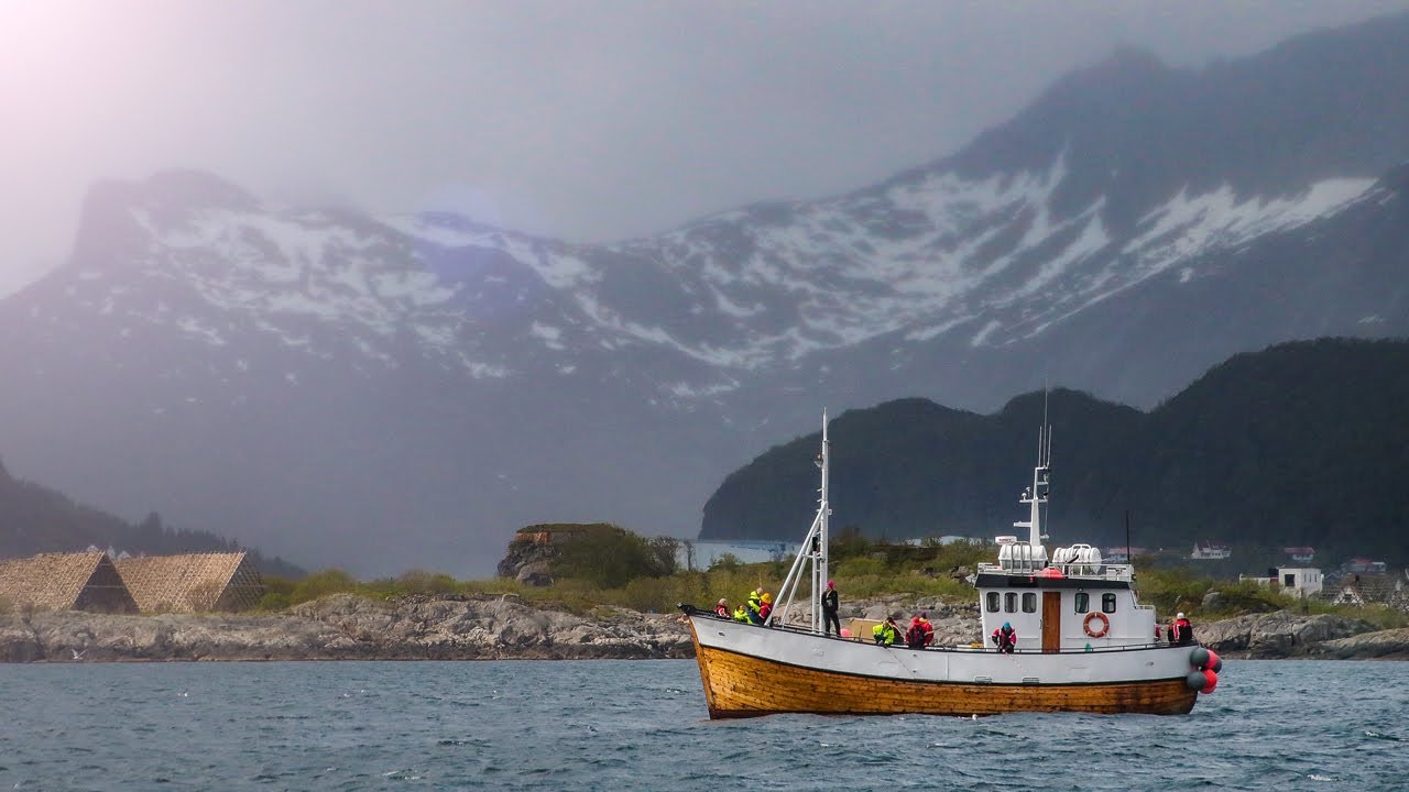 The Carlson Omega-3 Fish Oil Story