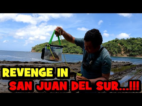 I Landed Some COLORFUL FISH From the ROCKY SHORES of NICARAGUA...!!! [LIFELISTING — NIC EP3]