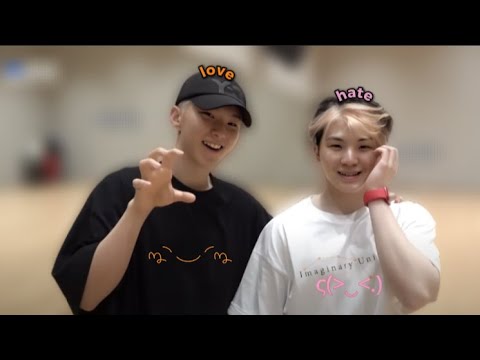 Hoshi and Woozi's ✨Love-Hate✨ relationship