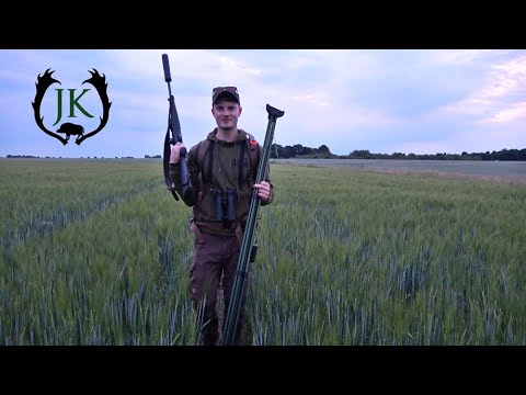 Bockjagd im Juni | Feld und Wald - Jagdkrone