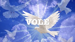 Paroles Vole Céline Dion