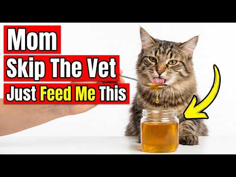 Your Cat Has Been Missing These Healing Foods