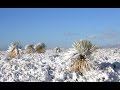 Mini Ice Age 2015-2035 | Snow in Central Mexico ...