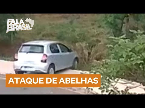 Idosas são atacadas por abelhas após acidente de carro em Minas Gerais