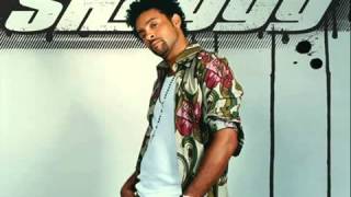 Shaggy- get my party on