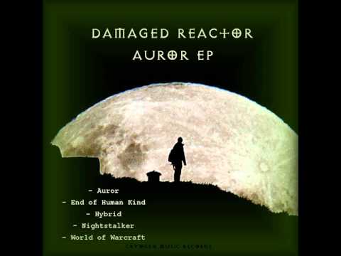 Damaged Reactor - World Of Warcraft (Cryogen MUSIC Records)