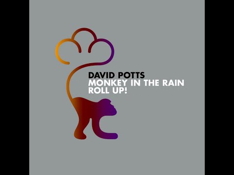 David Potts Monkey In The Rain