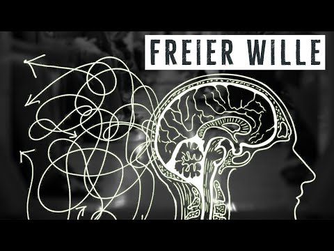 Freier Wille & Determinismus – Warum ich das Problem nicht verstehe