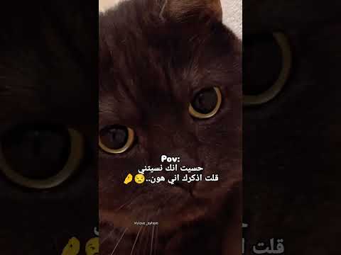 30 يوليوز 2025