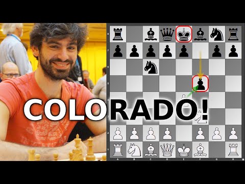 Eröffnungsküche: Triumph des Colorado-Gambits || Blitz-EM: Jan-Kzysztof Duda vs. Ilja Schneider