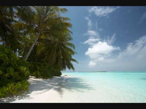 George F. Zimmer - Soma (Dinka Remix)