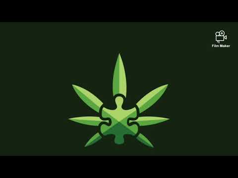 WildVibes vs SƠN & CHRSTN feat. Nino Lucarelli - Your Stars.mp4