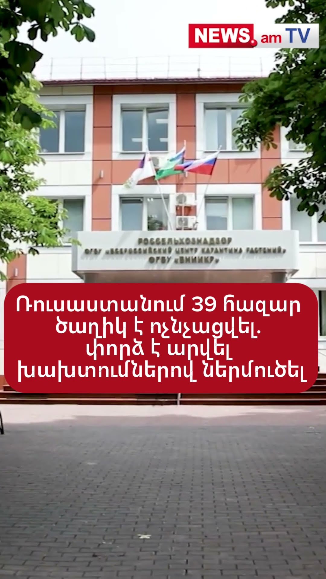 Ռուսաստանում 39 հազար ծաղիկ է ոչնչացվել. փորձ է արվել խախտումներով ներմուծել