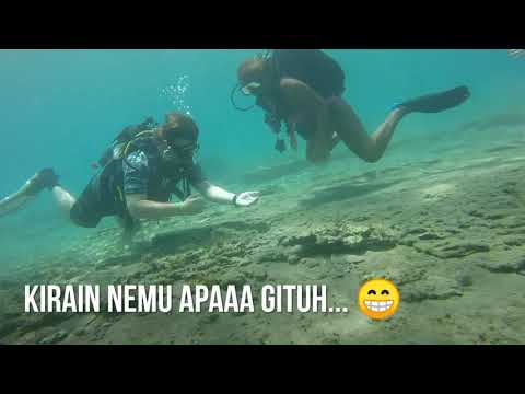 VLOG TRIP | Limassol - Cyprus | Diving at Zygi 2021