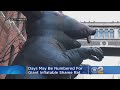 Farewell To Scabby Days May Be Numbered For New York S Giant Inflatable Shame Rat