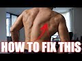 How to Fix Winged Scapula (3 EXERCISES SHOWN)
