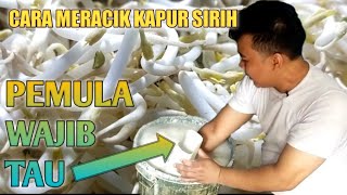 Download lagu How to mix betel lime so that it is ready to be used for cultivating bean sprouts mp3