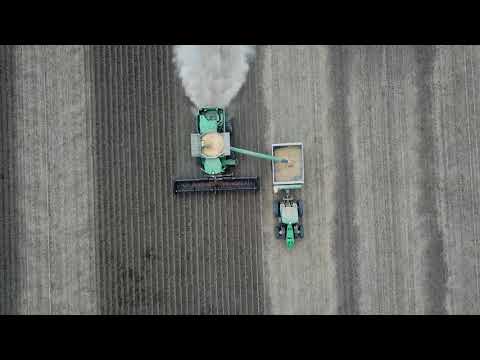 Archive 43 Video thumbnail