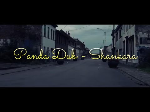 🎼Panda Dub - Shankara