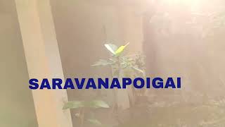 3 BHK House for Sale in Ayyampettai, Thanjavur