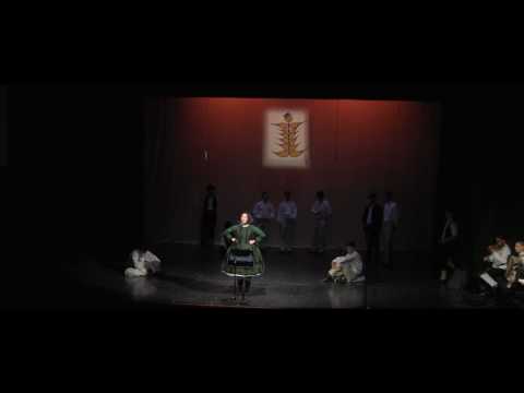 Katarína Šagová - ZALETEV SOKOLÍK (live)