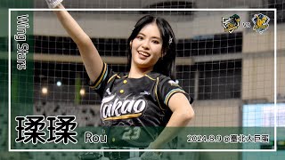 【台湾チア】瑈瑈 Rou | Wing Stars | 王博玄,張肇元,郭永維 應援曲 + Hey Sa Hey,雄鷹GO + 嗆司曲 氣蓋山河 [中文歌詞]